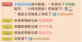 第一次摸灵猴-无能博客